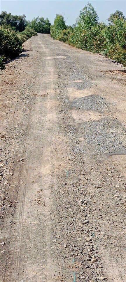 Cần bán 11,5 công đất trồng khóm ấp mỹ lộc, thạnh mỹ, tân phước, tiền giang cũ