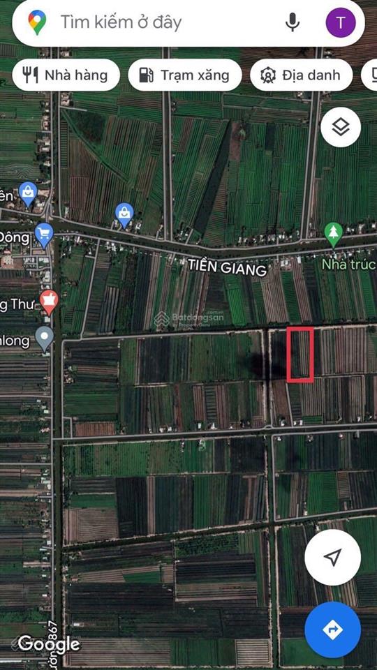 Cần bán 11,5 công đất trồng khóm ấp mỹ lộc, thạnh mỹ, tân phước, tiền giang cũ