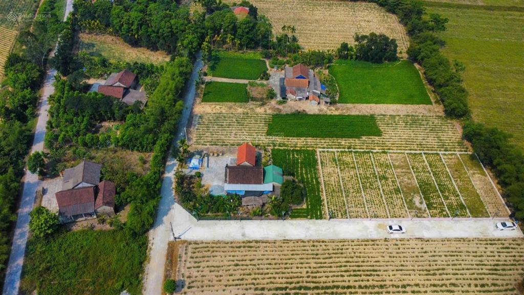 Đất ở ngay kênh giữ tiền an toàn cho giai đoạn này  520 triệu