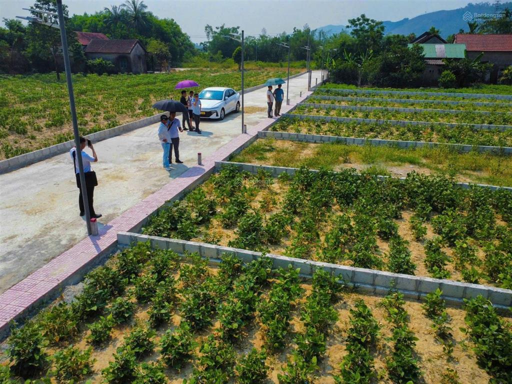 Block đất nền mới kim trà giá 470 triệu/lô đã có sổ sẵn