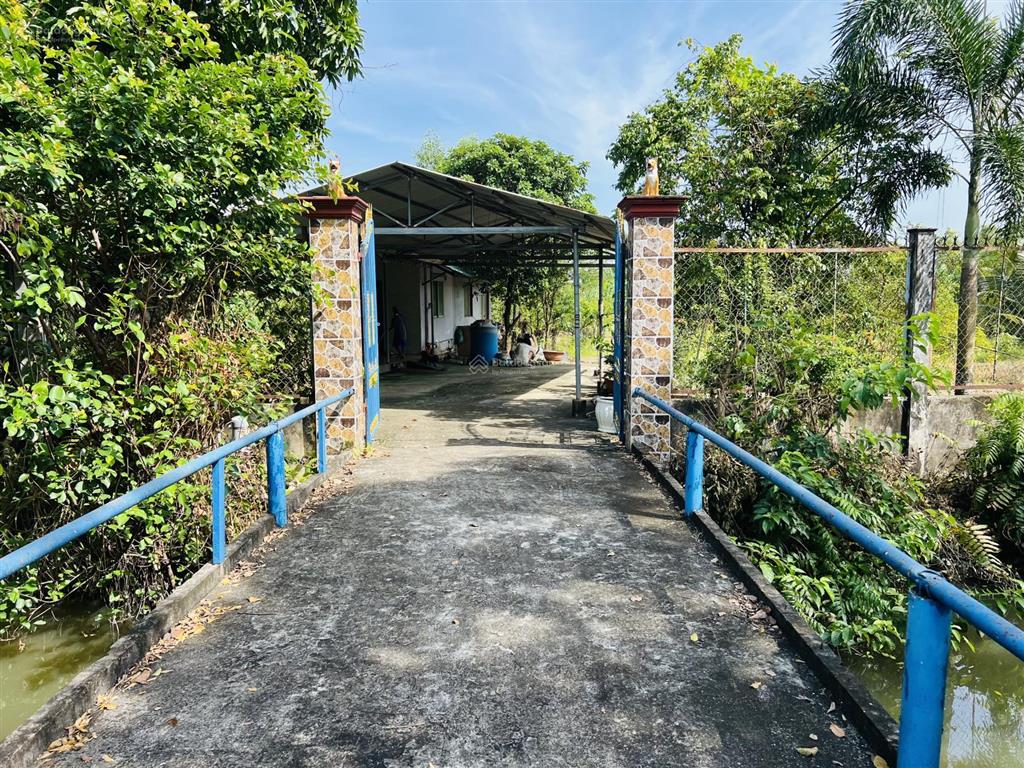Siêu phẩm mặt tiền 35x100m 3000m2 long an chỉ 6,7 tỷ ngay tp tân an