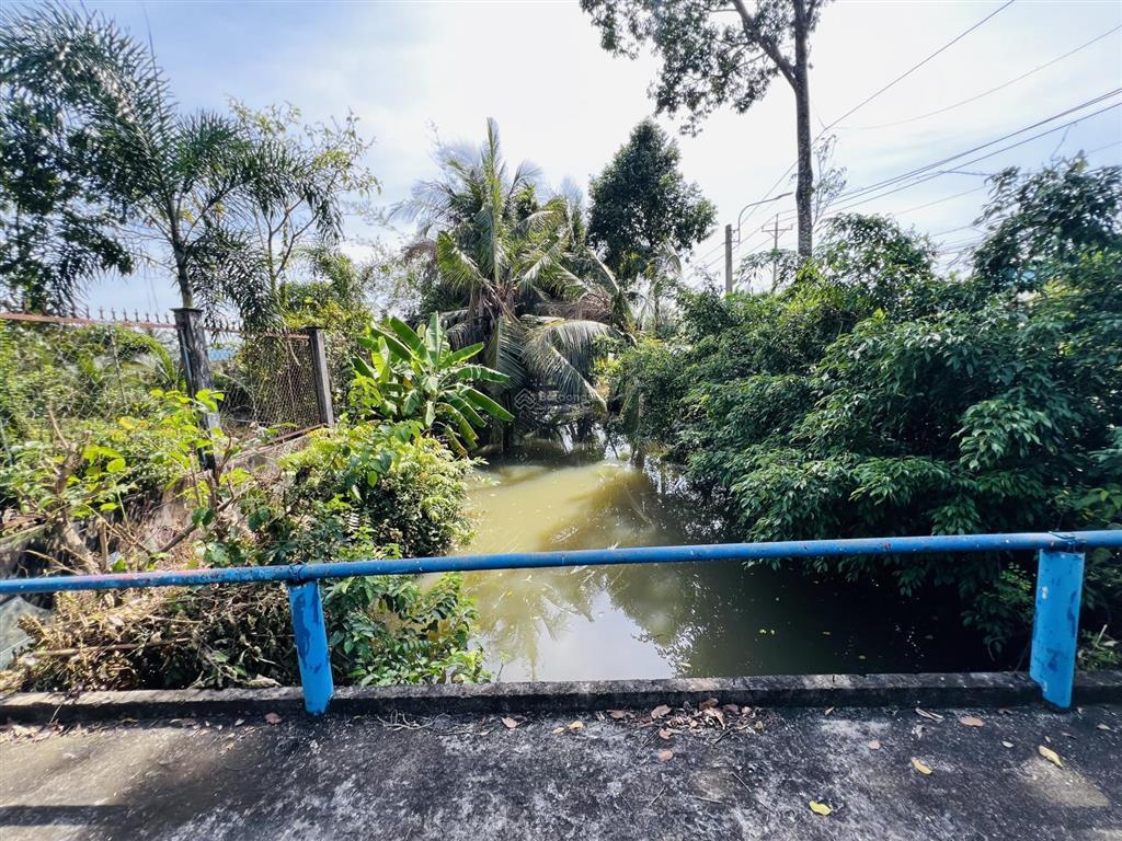 Siêu phẩm mặt tiền 35x100m 3000m2 long an chỉ 6,7 tỷ ngay tp tân an