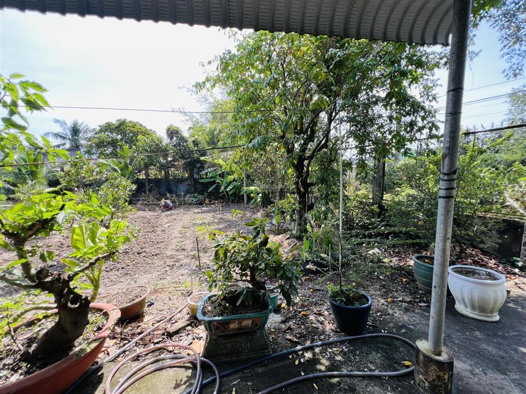 Siêu phẩm nhà vườn long an 3000m2 ngang 35x100m chỉ 6,7 tỷ cách quận 1 chỉ 50km, đường rộng 15m