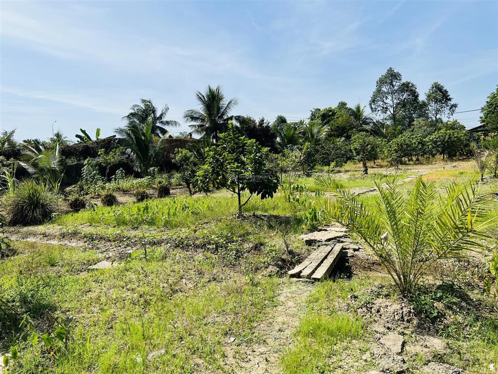 Siêu phẩm nhà vườn long an 3000m2 ngang 35x100m chỉ 6,7 tỷ cách quận 1 chỉ 50km, đường rộng 15m