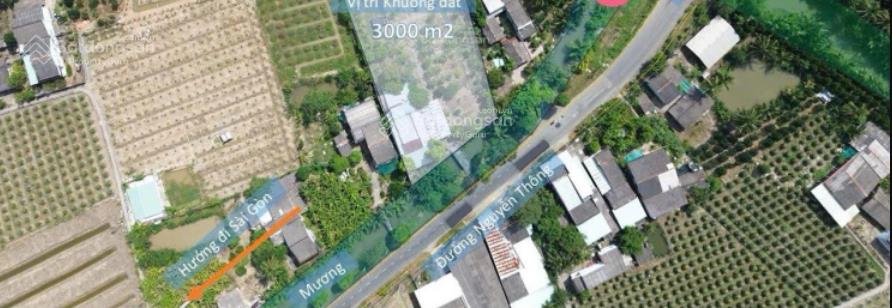 Siêu phẩm nhà vườn long an 3000m2 ngang 35x100m chỉ 6,7 tỷ cách quận 1 chỉ 50km, đường rộng 15m