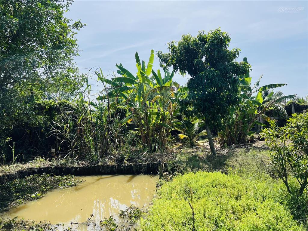 Siêu phẩm nhà vườn long an 3000m2 ngang 35x100m chỉ 6,7 tỷ cách quận 1 chỉ 50km, đường rộng 15m