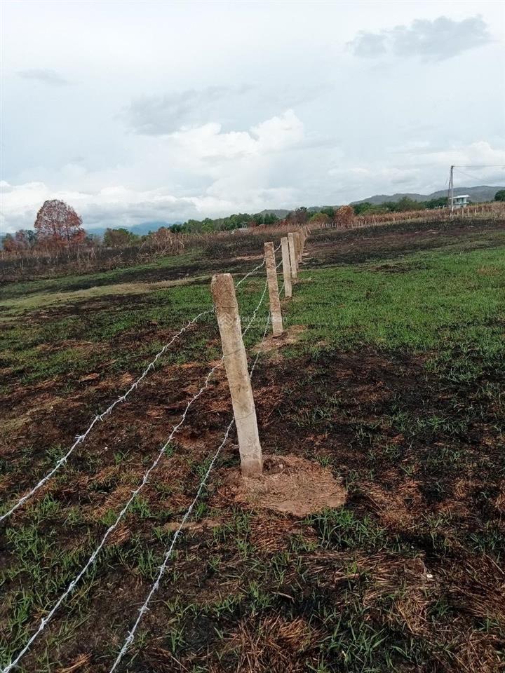 Cần trả nợ bán nhanh 2762.2m2 quy hoạch full thổ cư, giá 620tr, khách thiện chí thương lượng thêm