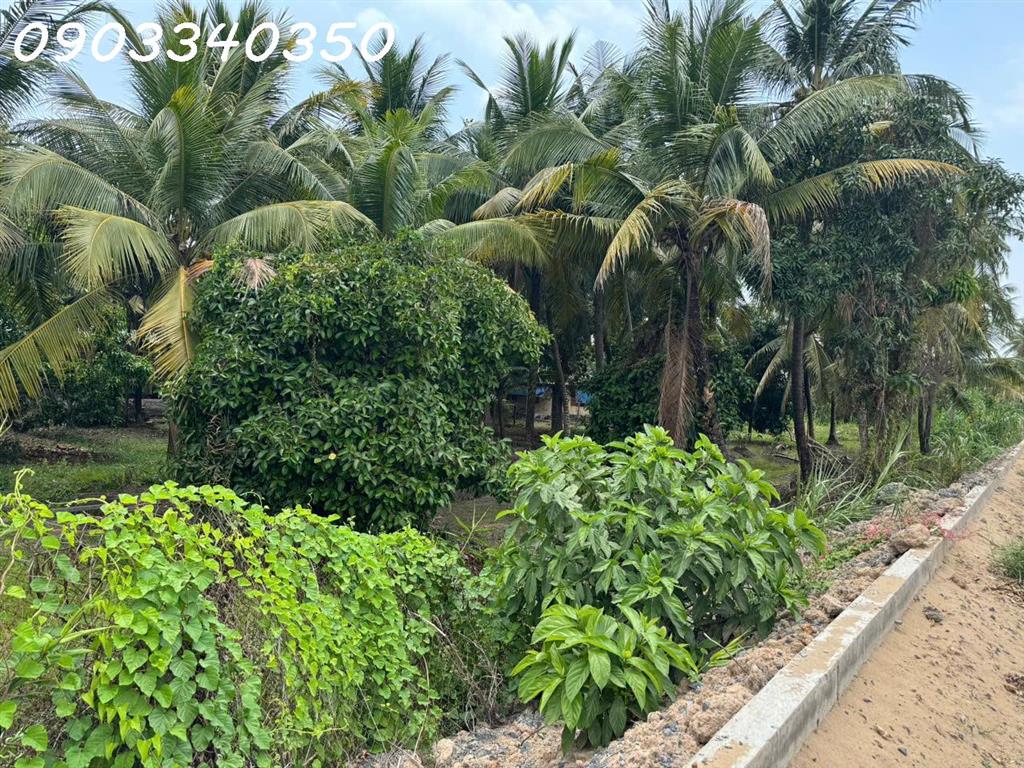 Bán đất siêu đẹp mặt tiền bờ sông Sài Gòn tại Đông Thạnh, DT 1500 m2, giá 58 tỷ