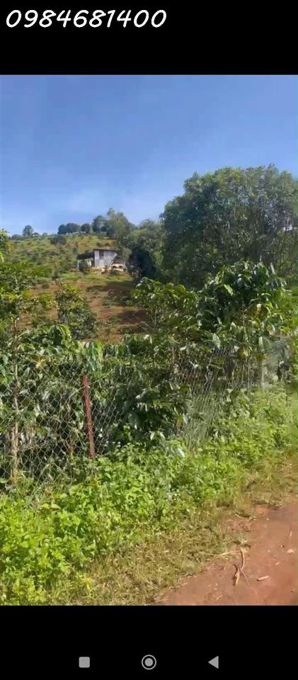 Cần tiền bán nhanh đất rẫy tại Tà Nung, p.Cam Ly, Đà Lạt,giá chỉ 160tr/sào có thương lượng