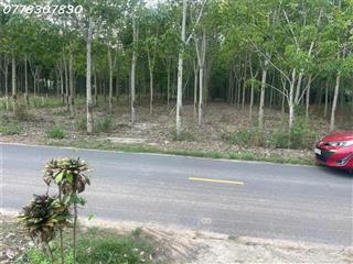 Bán đất tại đường Lò Rèn, Long Hòa, 4 tỷ, 880 m2, giá tốt, view đẹp