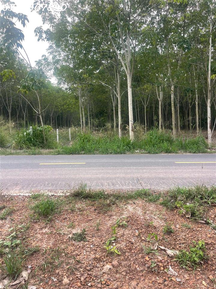 Bán đất tại đường Lò Rèn, Long Hòa, 4 tỷ, 880 m2, giá tốt, view đẹp