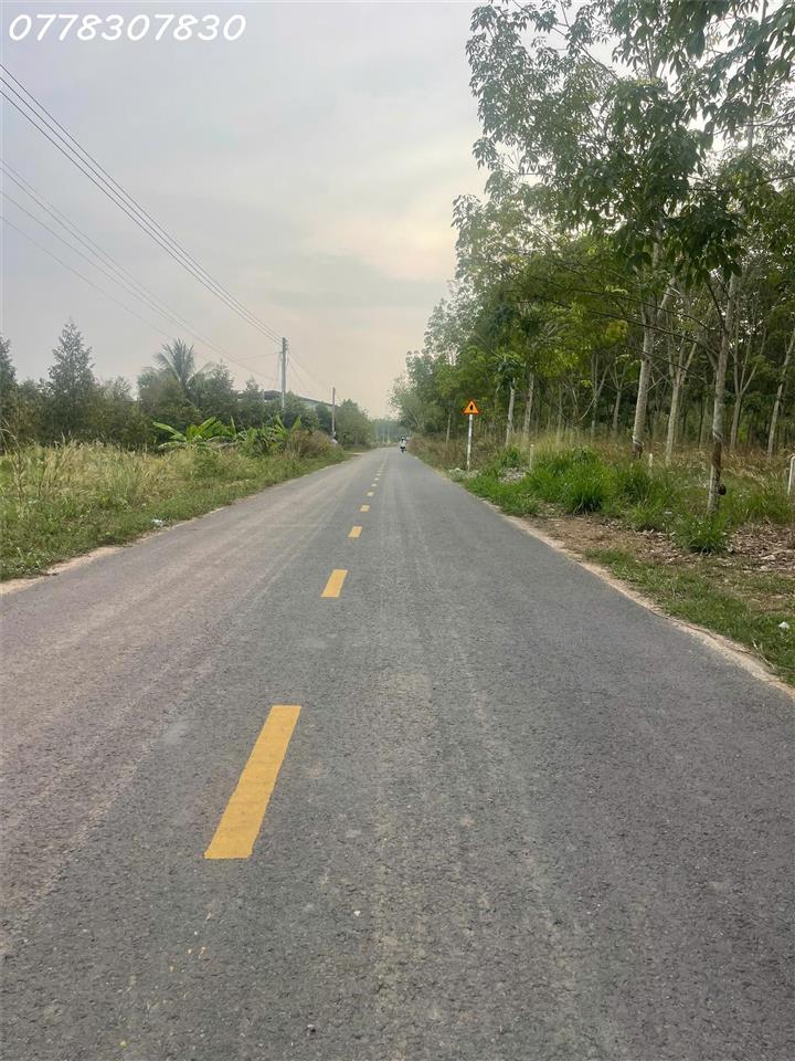 Bán đất tại đường Lò Rèn, Long Hòa, 4 tỷ, 880 m2, giá tốt, view đẹp