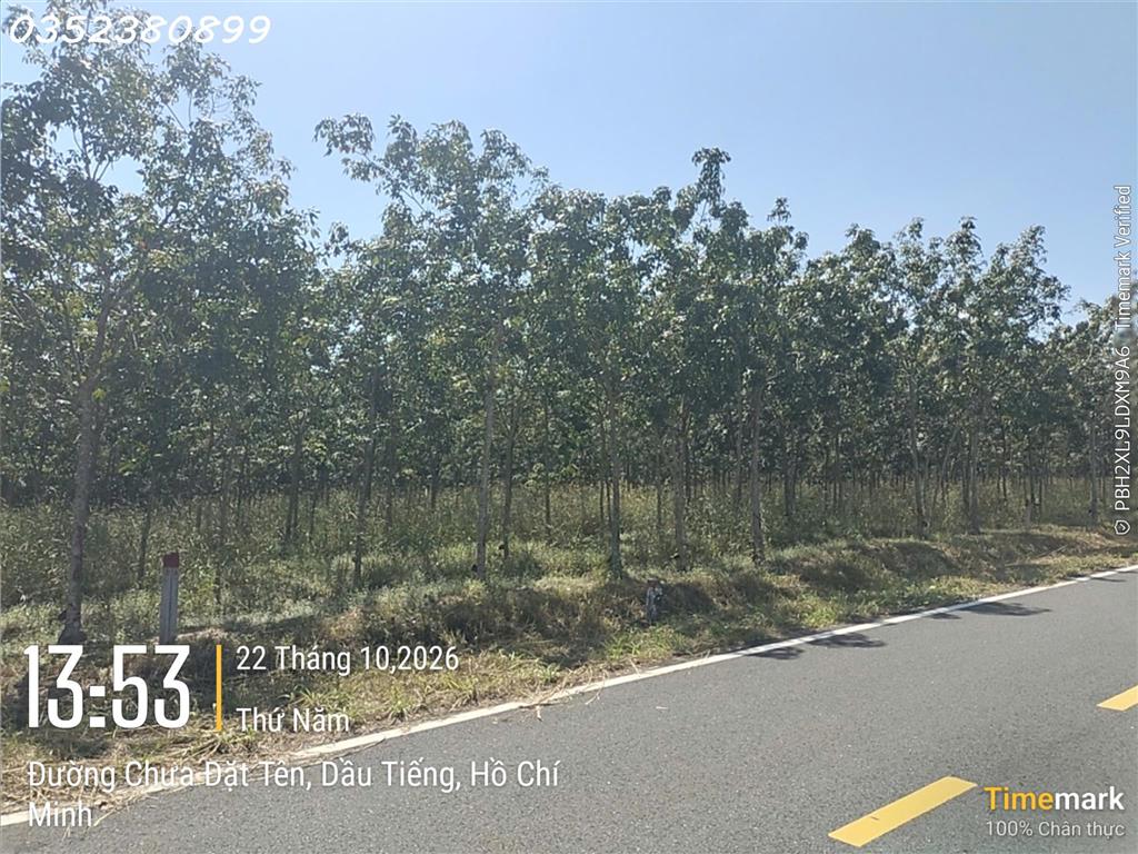 Hàng hiếm tại Ấp Núi Cậu, ĐT 744, Dầu Tiếng, DT 262 m2, giá 2,7 tỷ