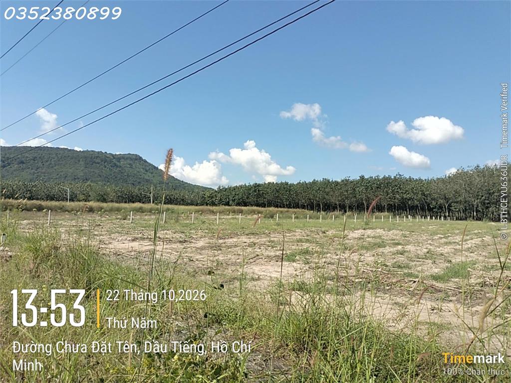 Hàng hiếm tại Ấp Núi Cậu, ĐT 744, Dầu Tiếng, DT 262 m2, giá 2,7 tỷ