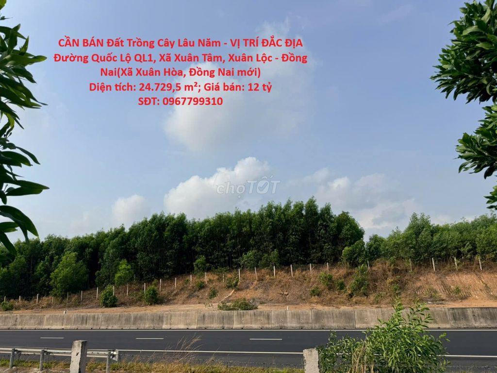 BÁN Đất Trồng Cây Lâu Năm Quốc Lộ QL1, Xã Xuân Tâm, Xuân Lộc -Đồng Nai
