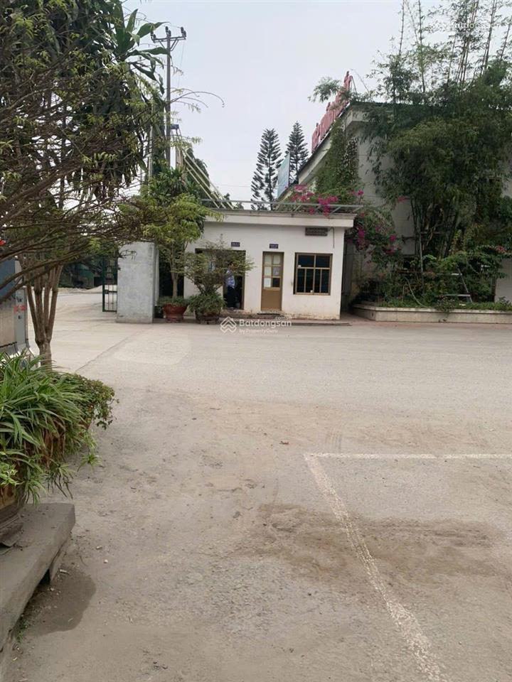 Chuyển nhượng kho xưởng nhà máy đang sản xuất quốc lộ 5 hồng bàng, hải phòng
