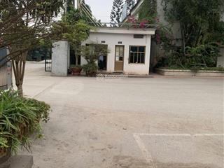 Chuyển nhượng kho xưởng nhà máy đang sản xuất quốc lộ 5 hồng bàng hải phòng