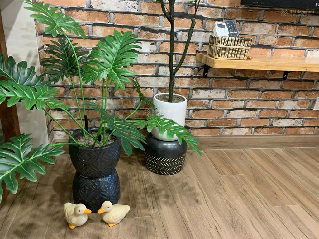 Cho thuê căn hộ skyoasis, studio, full đồ mới, giá thuê tốt nhất thị trường ecopark