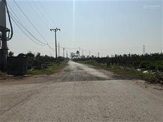 Hot! bán nhanh 800m full thổ, xe container đậu cửa tại văn giang, cách vđ 4 chỉ 150m cầu mễ sở