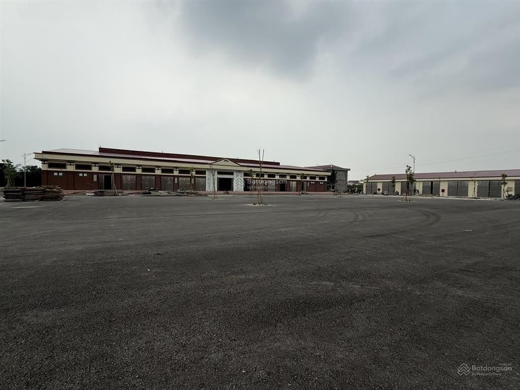 Mua lãi ngay. bán 100m đối diện chợ đầu mối đông tảo, giáp văn giang