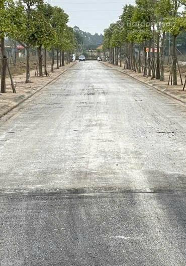 Chính chủ cần chuyển nhượng lô đất biệt thự kđt minh giang đầm và view vườn hoa, gần cầu thăng long