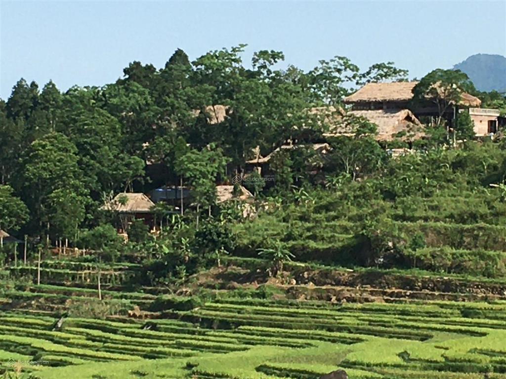 Bán đất tại ninh tây, 6,168 tỷ, 3084 m2, thổ cư 200m2 pháp lý đầy đủ