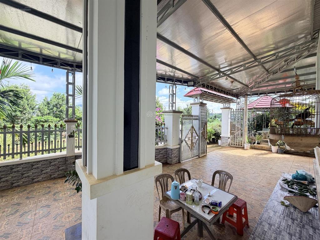 Hà nội có hàm cá mập bảo lộc có căn nhà dành riêng cho cá mập vip  nhà sân vườn 1163.4m2