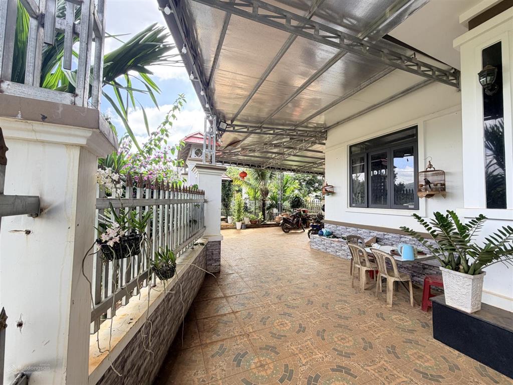 Hà nội có hàm cá mập bảo lộc có căn nhà dành riêng cho cá mập vip  nhà sân vườn 1163.4m2
