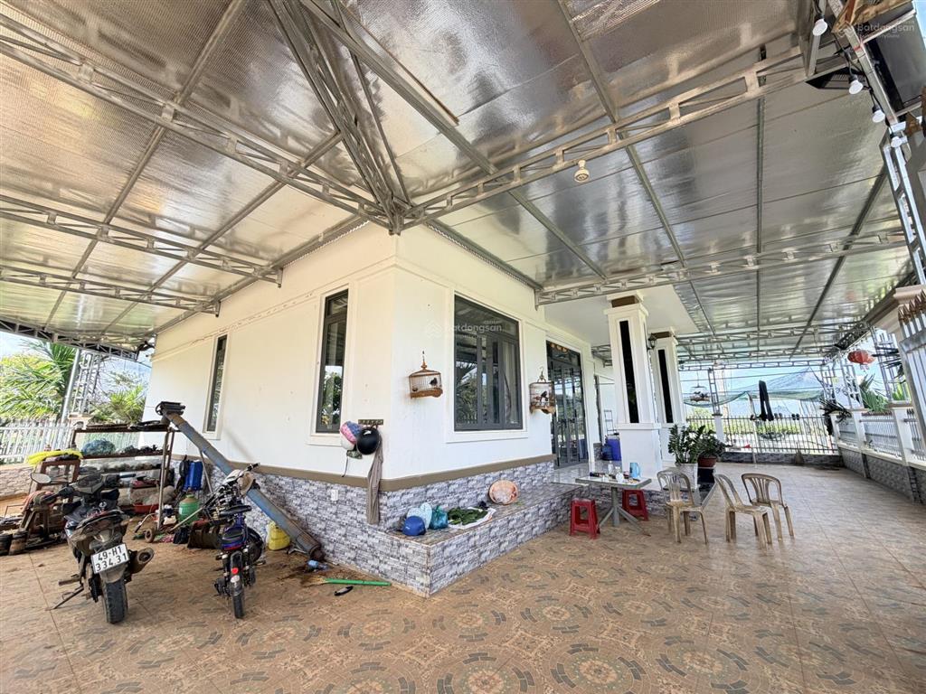 Hà nội có hàm cá mập bảo lộc có căn nhà dành riêng cho cá mập vip  nhà sân vườn 1163.4m2