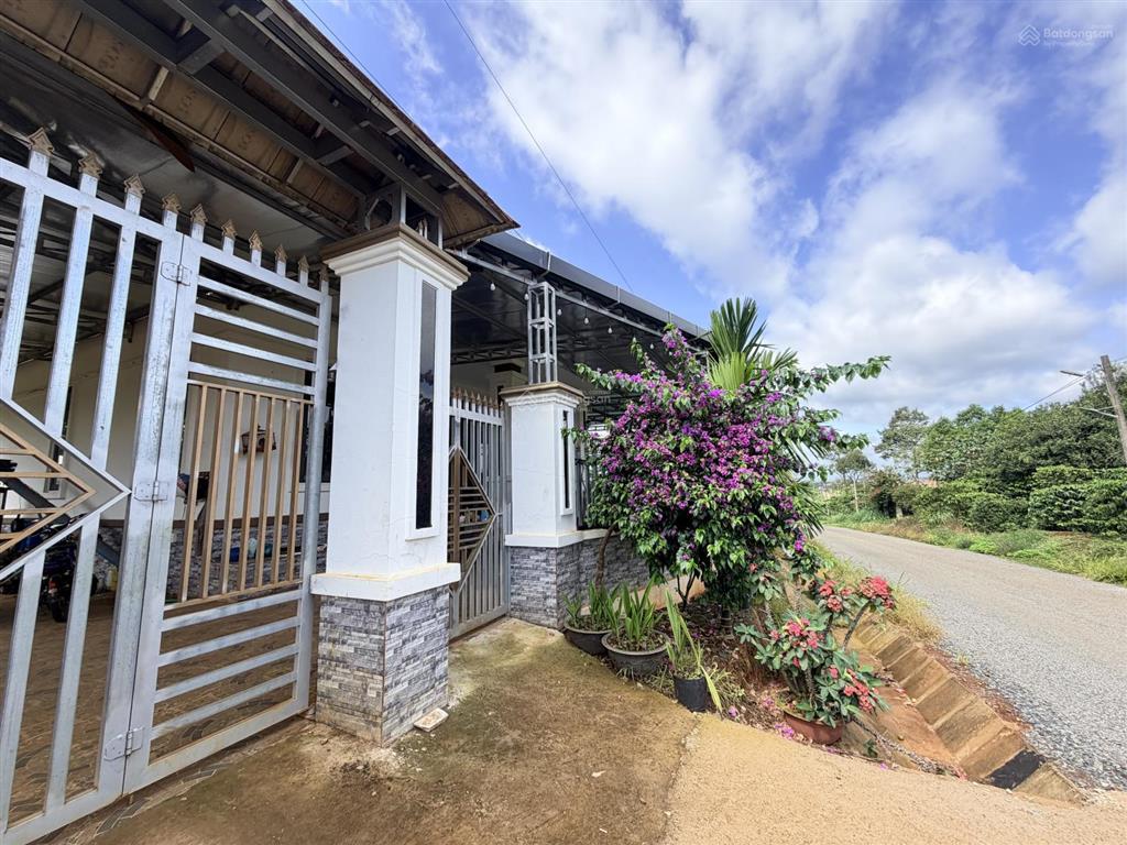 Hà nội có hàm cá mập bảo lộc có căn nhà dành riêng cho cá mập vip  nhà sân vườn 1163.4m2
