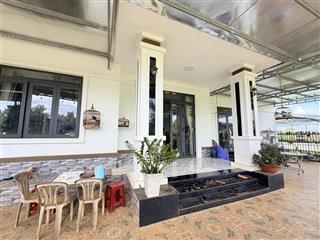 Hà nội có hàm cá mập bảo lộc có căn nhà dành riêng cho cá mập vip  nhà sân vườn 1163.4m2