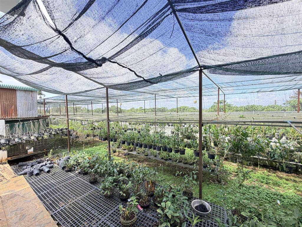 Hà nội có hàm cá mập bảo lộc có căn nhà dành riêng cho cá mập vip  nhà sân vườn 1163.4m2