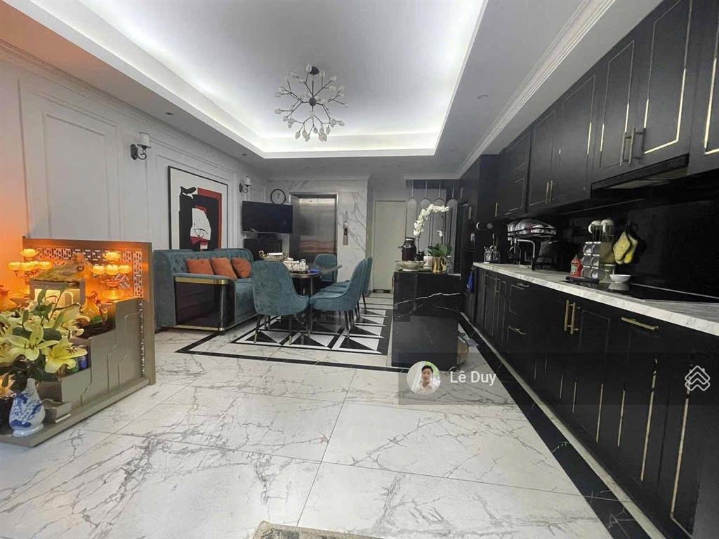 Bán nhà phố trần quang diệu 50m2x6t thang máy. full nội thất. an sinh đỉnh. giá 17,3 tỷ, q. đống đa