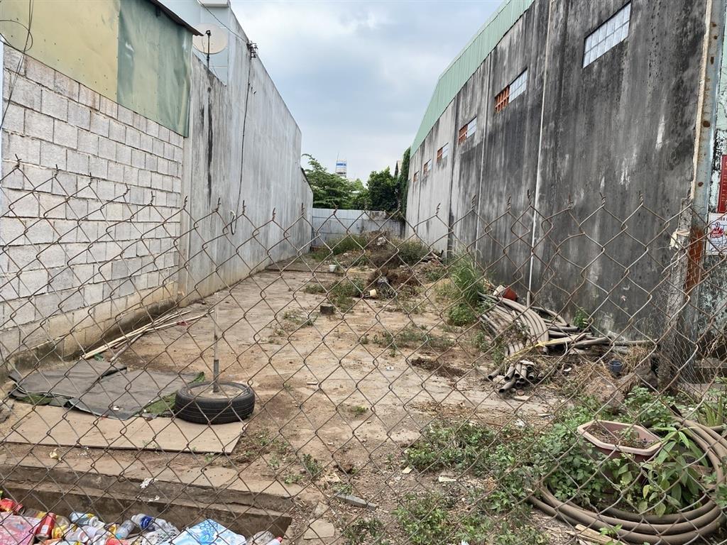 ĐẤT ĐẸP – CHÍNH CHỦ CẦN BÁN ĐẤT Đường Nguyễn Hoàng, Xã Thanh Bình, Huyện Trảng Bom, Đồng