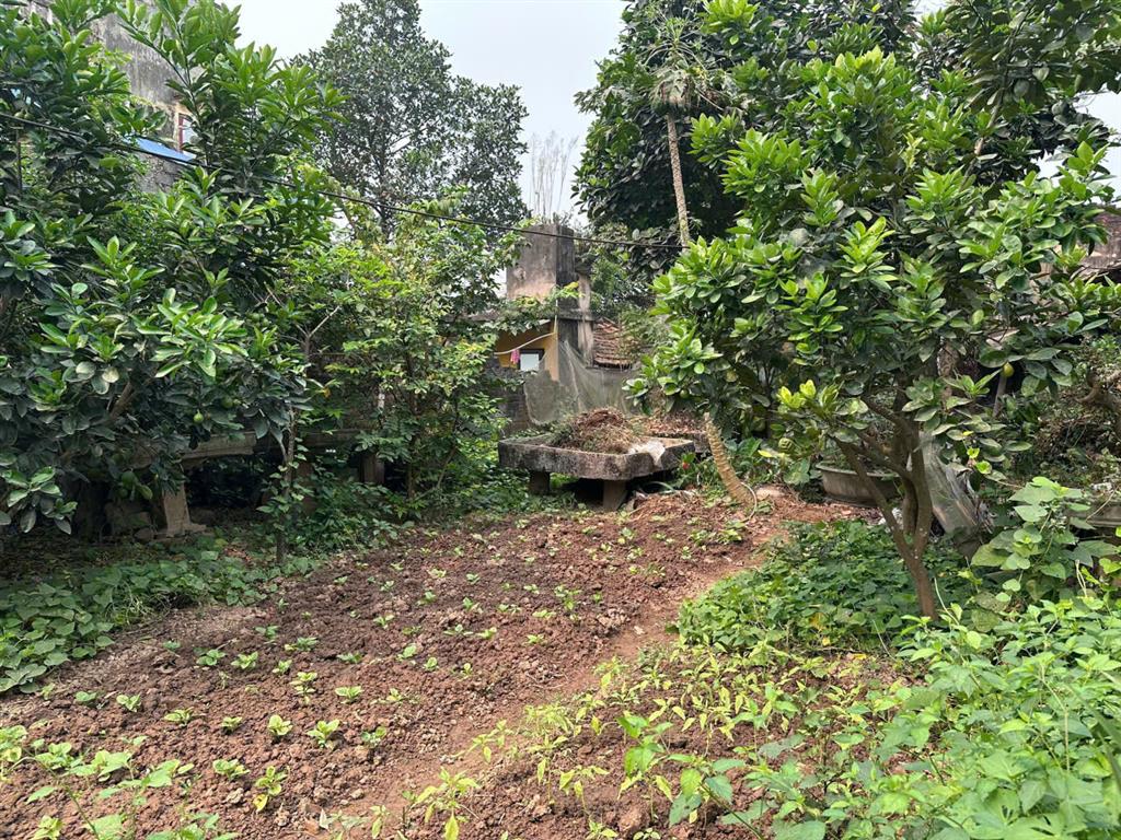 VỊ TRÍ ĐẸP - ĐẦU TƯ SINH LỜI - Chính Chủ Bán Lô Đất Tiềm Năng Phố Hoàng Văn Thụ, Xã Vân