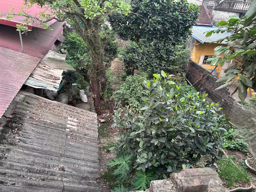 VỊ TRÍ ĐẸP - ĐẦU TƯ SINH LỜI - Chính Chủ Bán Lô Đất Tiềm Năng Phố Hoàng Văn Thụ, Xã Vân