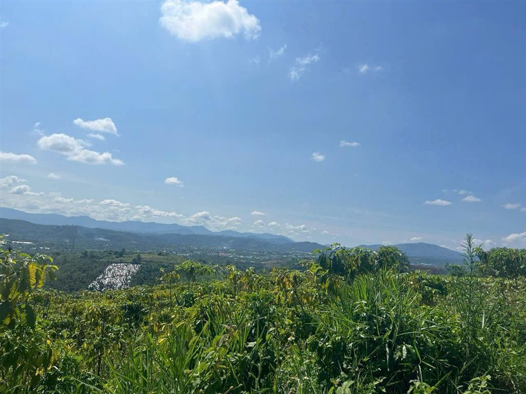 CƠ HỘI SỞ HỮU 4.518M² ĐẤT ĐẸP – Xã Lộc Thành (cũ) Huyện Bảo Lộc, Lâm Đồng – GIÁ 900