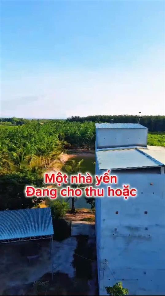 ĐẦU TƯ LÀ SINH LỜI - CHÍNH CHỦ CẦN BÁN ĐẤT VIEW NHÀ YẾN – Xã Trà Tân, Bình Thuận