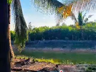 ĐẦU TƯ LÀ SINH LỜI - CHÍNH CHỦ CẦN BÁN ĐẤT VIEW NHÀ YẾN – Xã Trà Tân, Bình Thuận
