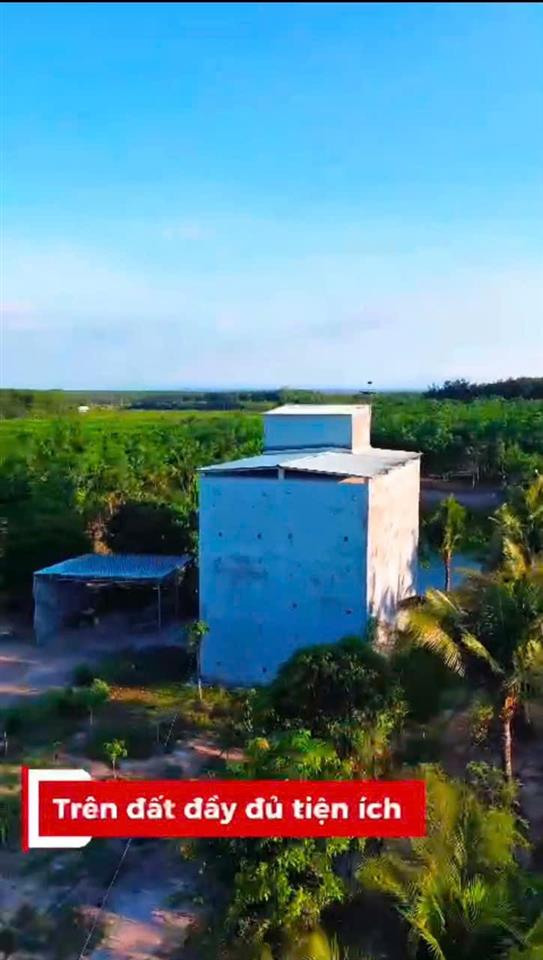 ĐẦU TƯ LÀ SINH LỜI - CHÍNH CHỦ CẦN BÁN ĐẤT VIEW NHÀ YẾN – Xã Trà Tân, Bình Thuận