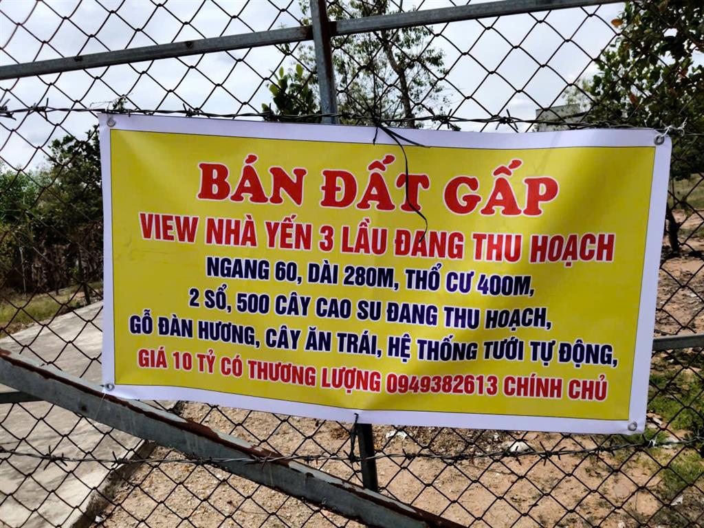 ĐẦU TƯ LÀ SINH LỜI - CHÍNH CHỦ CẦN BÁN ĐẤT VIEW NHÀ YẾN – Xã Trà Tân, Bình Thuận