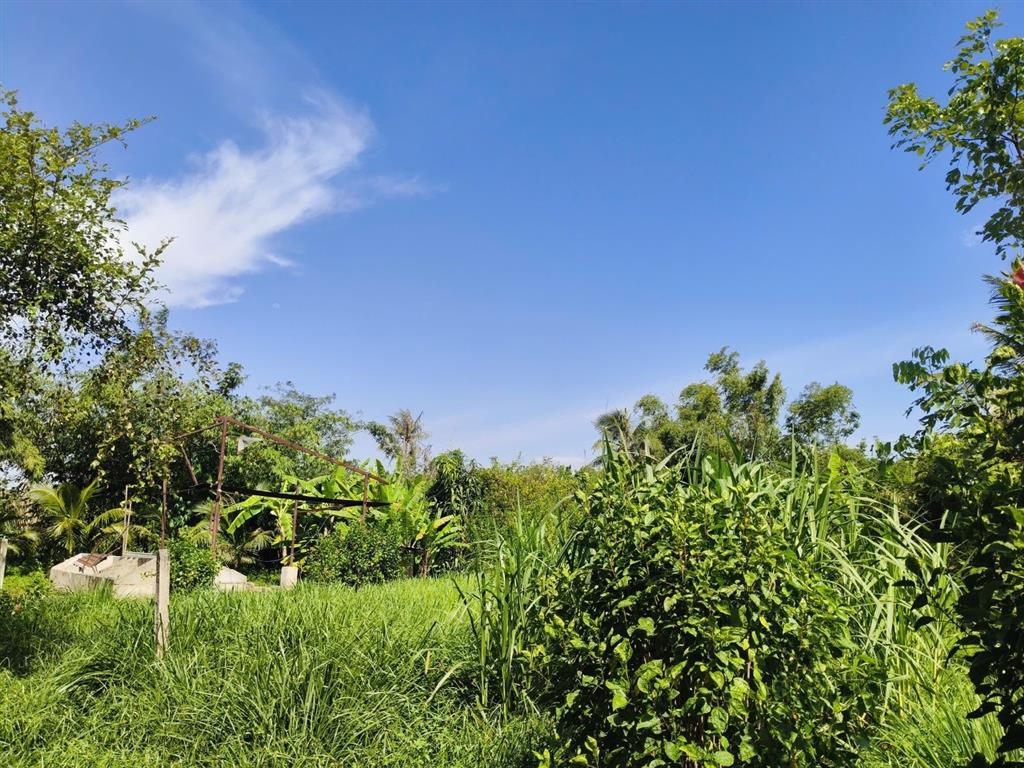ĐẤT ĐẸP, GIÁ ĐẦU TƯ – CHÍNH CHỦ CẦN BÁN LÔ ĐẤT TẠI X. Phước Hiệp, H. Củ Chi, TP. HCM