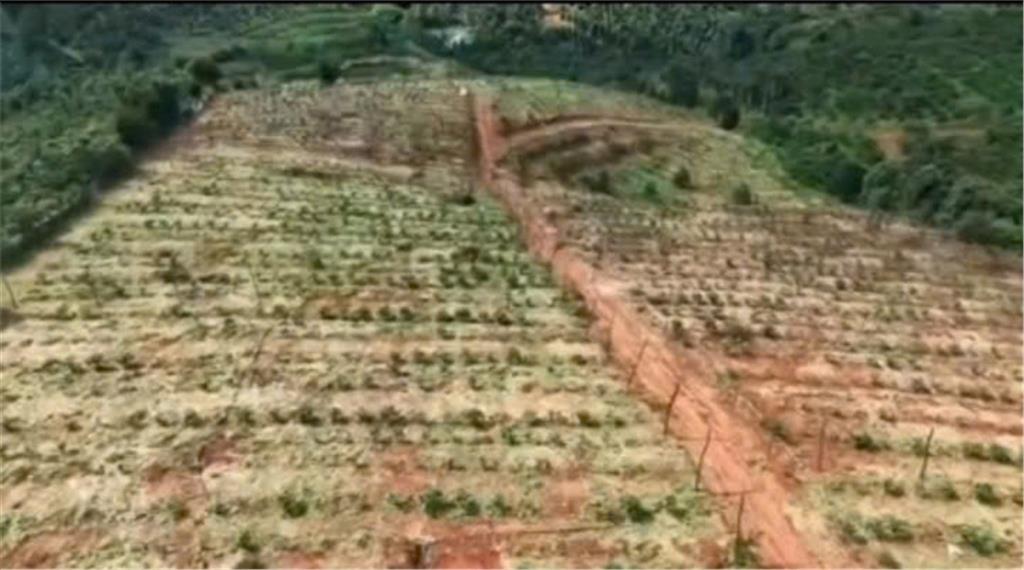 ĐẤT ĐẸP – GIÁ TỐT – CẦN BÁN 3HA ĐẤT TẠI Nghĩa Tín, Phường Bắc Gia Nghĩa, Tỉnh Lâm Đồng.