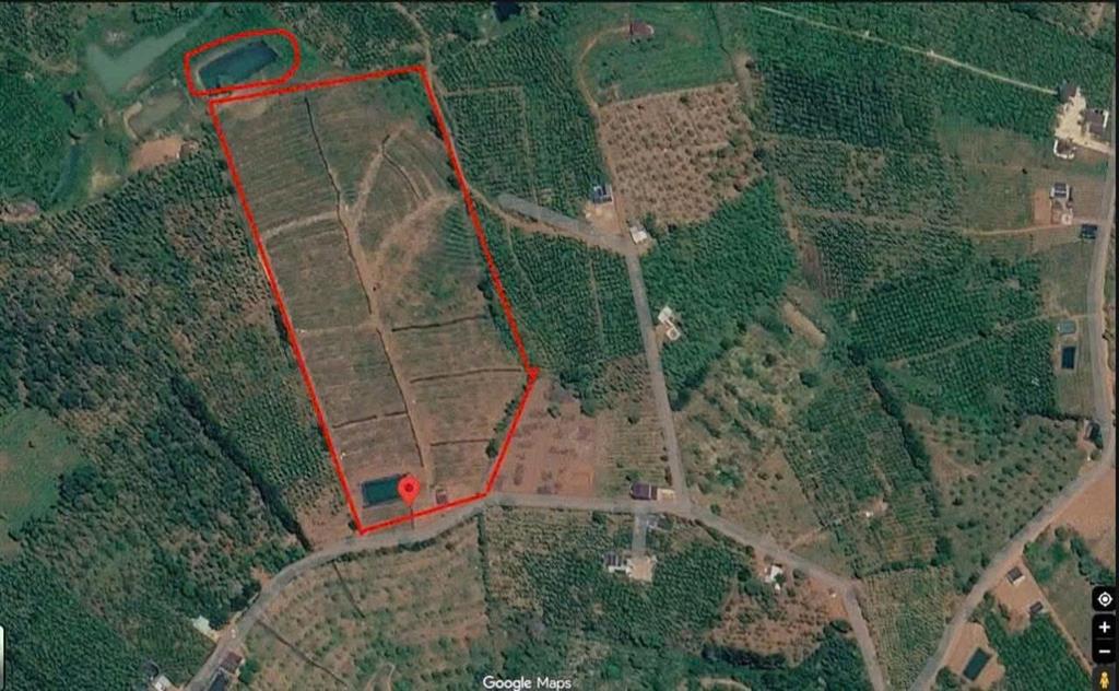 ĐẤT ĐẸP – GIÁ TỐT – CẦN BÁN 3HA ĐẤT TẠI Nghĩa Tín, Phường Bắc Gia Nghĩa, Tỉnh Lâm Đồng.