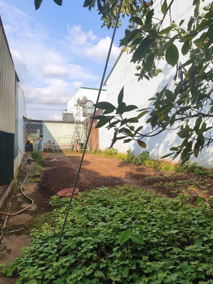 ĐẤT ĐẸP – GIÁ TỐT - CẦN BÁN NHÀ MẶT TIỀN 300 M² Đ. NGUYỄN THÁI HỌC, PHƯỜNG ĐÔNG GIA
