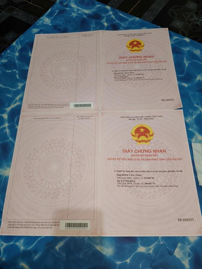 ĐẤT ĐẸP – GIÁ ĐẦU TƯ – CẦN BÁN GẤP 3 LÔ ĐẤT ĐẸP – Gia Lâm & Nam Ban –Lâm Hà – Tỉnh Lâm