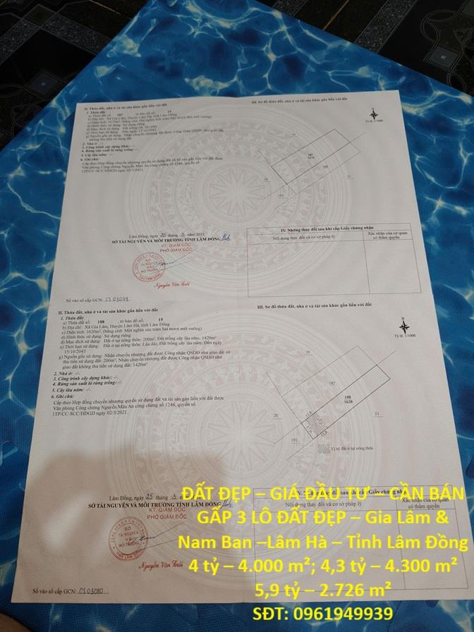 ĐẤT ĐẸP – GIÁ ĐẦU TƯ – CẦN BÁN GẤP 3 LÔ ĐẤT ĐẸP – Gia Lâm & Nam Ban –Lâm Hà – Tỉnh Lâm