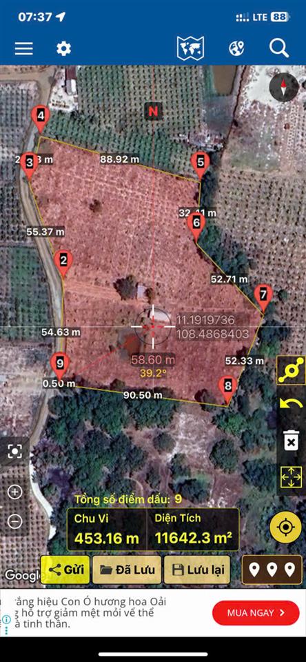 ĐẤT VƯỜN DỪA ĐẸP – GIÁ TỐT – CHÍNH CHỦ CẦN BÁN TẠI Thị Trấn Bắc Bình, Huyện Bắc Bình,