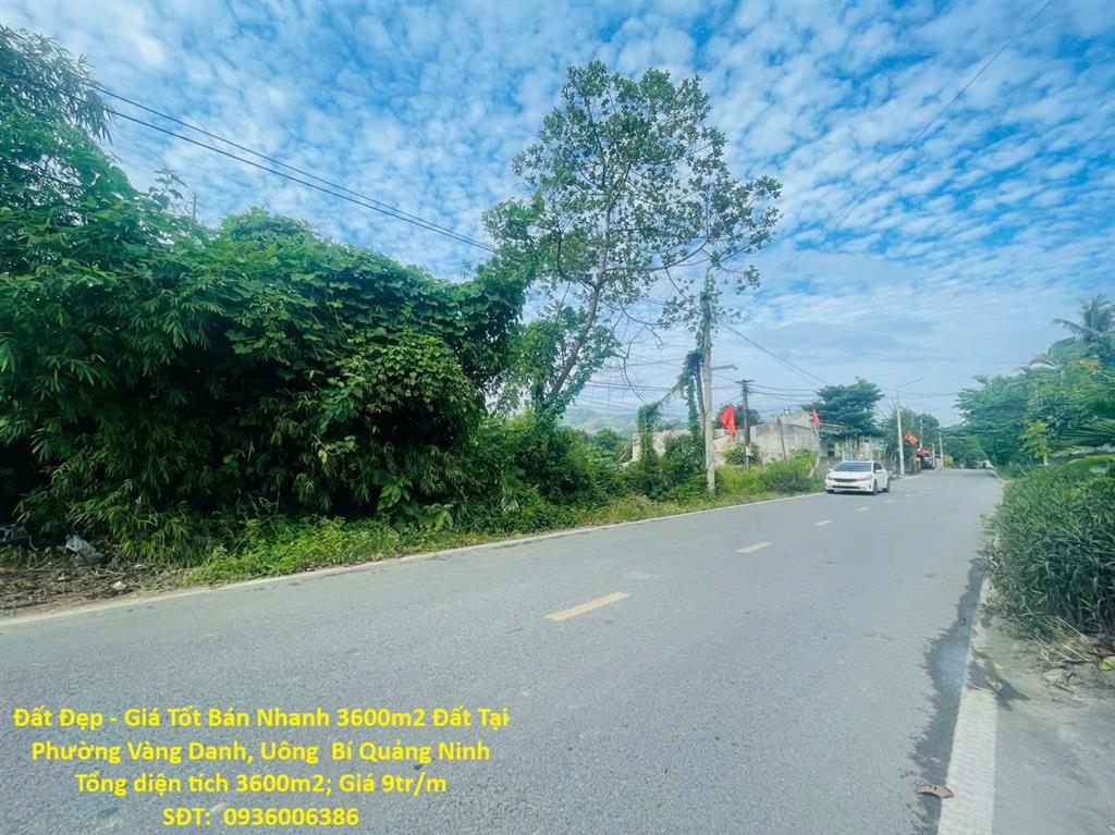 Đất Đẹp - Giá Tốt Bán Nhanh 3600m2 Đất Tại Phường Vàng Danh, Uông  Bí Quảng Ninh