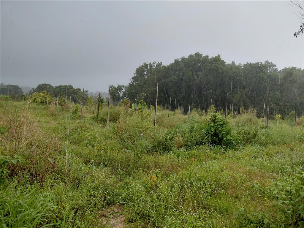 GIÁ TỐT CHO NHÀ ĐẦU TƯ - Cơ Hội Sở Hữu Lô Đất Đẹp Vị Trí Đắc Địa Tại Phú Quốc, Kiên Giang